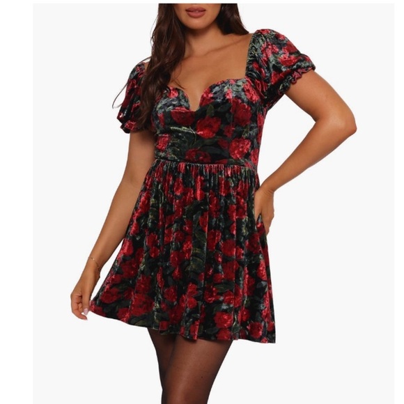 Petal & Pup Anders Floral Burnout Velvet Minidress Black Red Sz Small - Picture 6 of 14